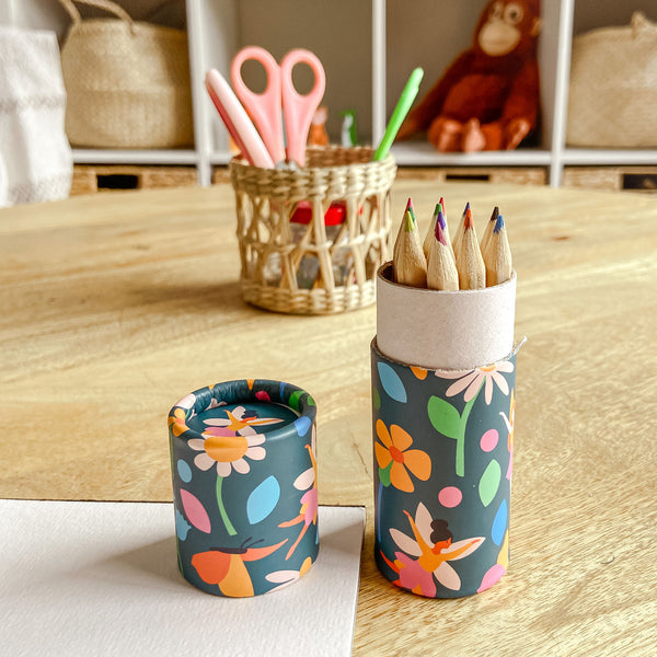 Fairies Colouring Pencils - Children's Stocking Filler