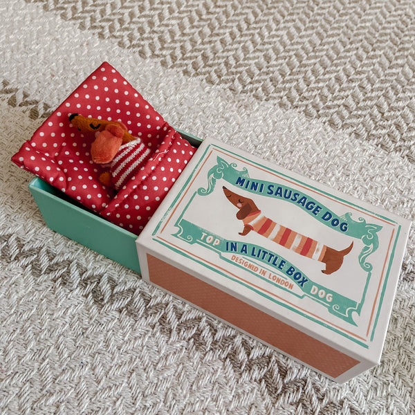 Sausage Dog in a Box, Matchbox Soft Toy - Children's Gift