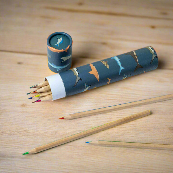 Shark Themed Tube Crayons - Kids Stocking Filler Gift