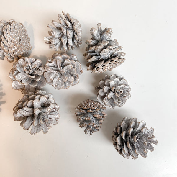 White-Washed Christmas Pine Cones - Pack of 10
