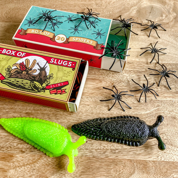 Matchbox of Spiders or Slugs - Children's Gift Stocking Filler