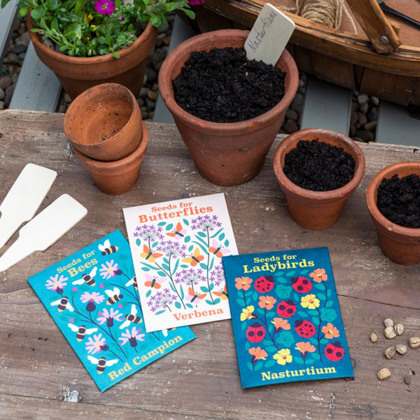 Seeds For Wedding Favours - Seeds For Butterflies, Ladybirds and Bees (3 Packs of Seeds)