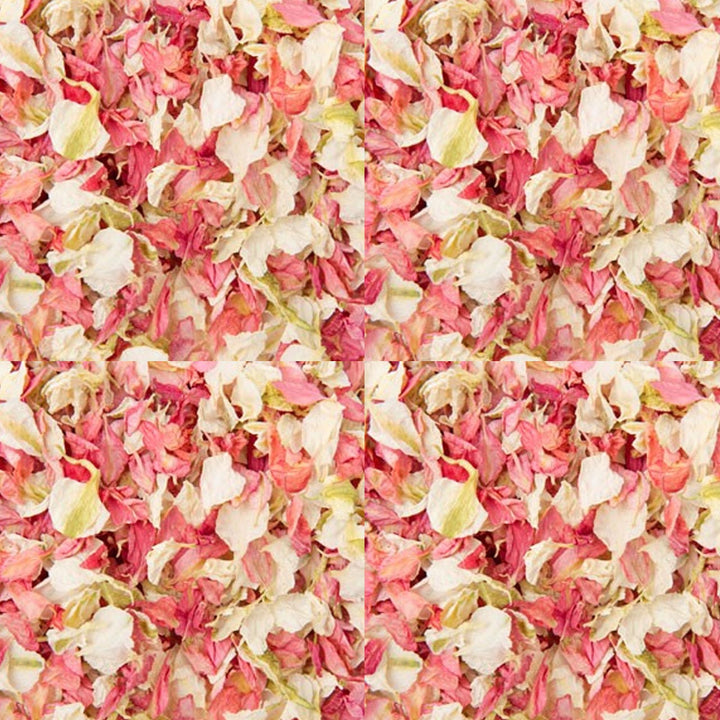 Soft Pink Wedding Confetti Natural Delphinium Petals - The Wedding of My Dreams