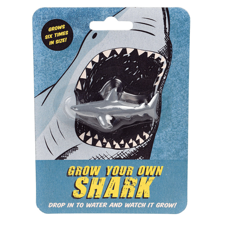 Grow Your Own Shark - Children's Stocking Filler kids - The Wedding of My Dreams