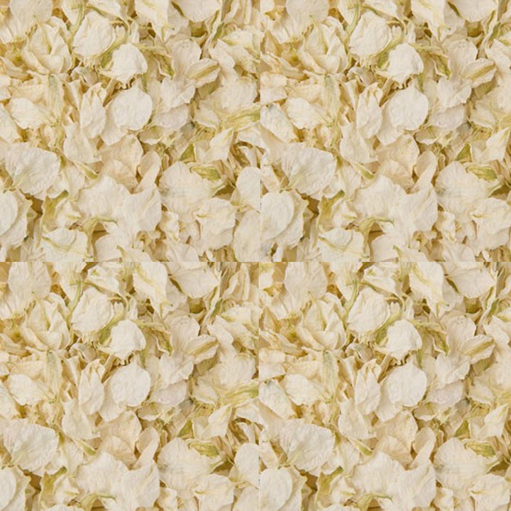 Ivory Cream Wedding Confetti Natural Delphinium Petals - The Wedding of My Dreams