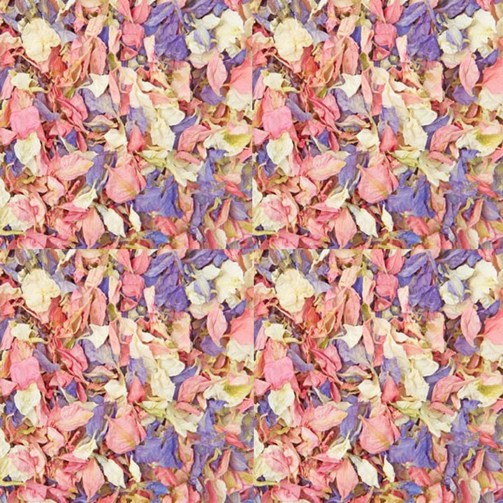 Pink Purple Summer Mix Wedding Confetti Natural Delphinium Petals - The Wedding of My Dreams